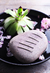 Wall Mural - Acupuncture needles with spa stone on tray, closeup