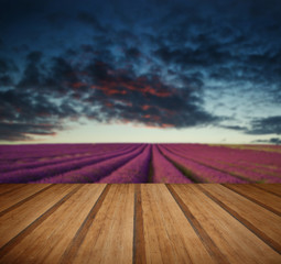 Wall Mural - Vibrant Summer sunset over lavender field landscape with wooden