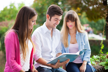 Wall Mural - Students reading a book