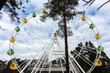 Ferris wheel behind the trees