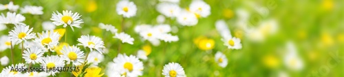 Naklejka - mata magnetyczna na lodówkę Blumenwiese - hochauflösendes Panorama