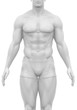 © CLIPAREA.com - White male isolated anterior view in anatomical postition