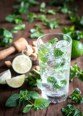 Sticker - Glass of mojito with ingredients