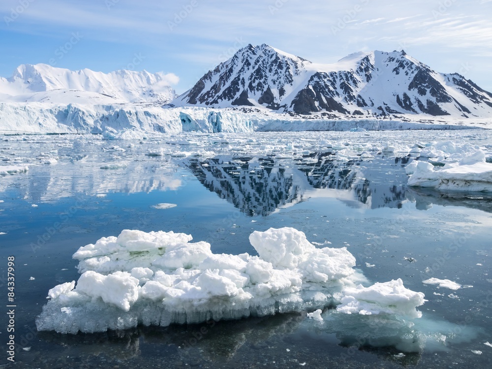 Arctic glacier landscape - Svalbard
 - obrazy, fototapety, plakaty 