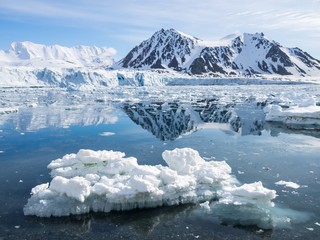 arctic glacier landscape - svalbard
