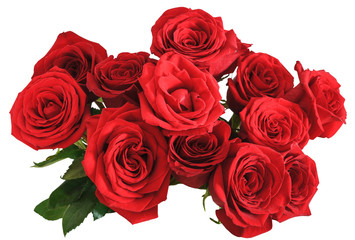 above view bouquet of red roses isolated