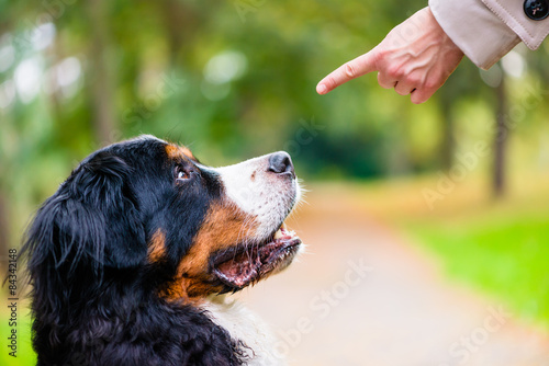 Fotografía Frau mit Hund Formación beim übt Kommando