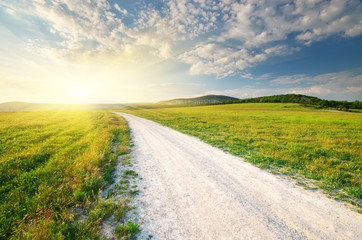 Lane in meadow