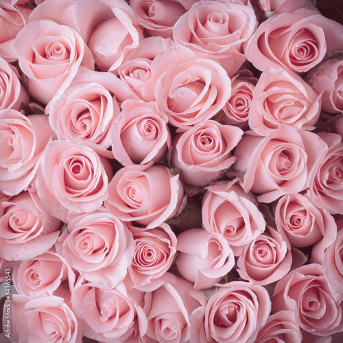 Obraz w ramie pink rose flower bouquet vintage background