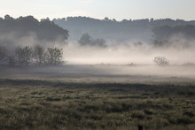 Misty Morning In Rural Ohio