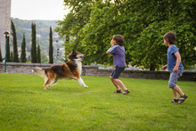 Two Little Boys Playing With A Dog In The Park