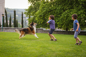 two little boys playing with a dog in the park