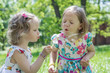© Julia29photo - Funny little girls (sisters) blow on a dandelion.