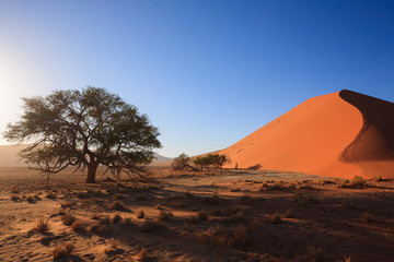 dune