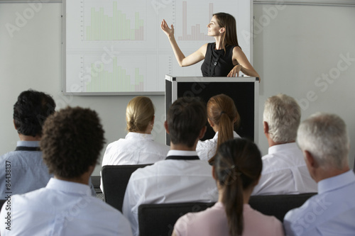 Fotografie, Obraz Businesswoman Delivering Presentation At Conference