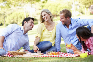 Group Of Friends Enjoying Picnic Together