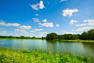 Canvas Print - Summer Landscape