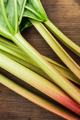 Canvas Print - rhubarb 