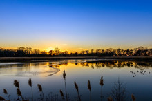 Sunset On A Chesapeake Bay Pond