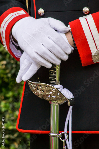 Corazziere guardia d'onore presidenziale italiana - dettaglio Poster