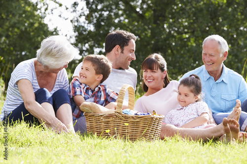 Plakat Rodzina Multi generacji korzystających piknik w okolicy