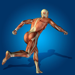 Conceptual 3D human man health anatomy