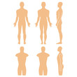 © Anna Rassadnikova - Male mannequin outlined silhouette torso
