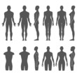 © Anna Rassadnikova - Man & woman mannequin outlined silhouette torso