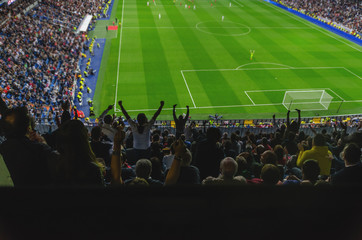 Goal celebration