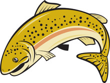 Rainbow Trout Jumping Cartoon Isolated