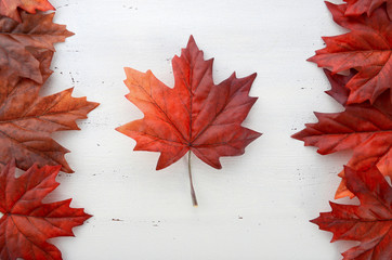 happy canada day red silk leaves in shape of canadian flag.