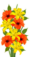 Fototapete - Background with colorful beautiful flowers. Vector illustration
