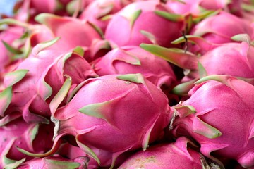 Wall Mural - Dragon fruit in the market