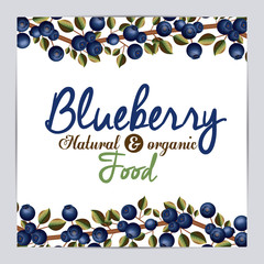 Wall Mural - Blueberry design