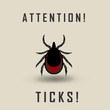 vector image of a tick