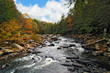 River in Wilderness in Autumn