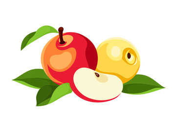 Wall Mural - Red and yellow apples isolated on white. Vector illustration.