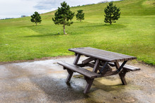 Picnic Table In A Park With Small Trees In Background