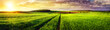 canvas print picture - Rural landscape sunset panorama