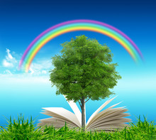 Open Book In Green Grass Over Blue Sky And Rainbow