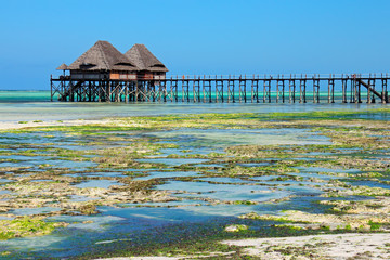 Poster - Tropical beach, Zanzibar island