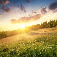 Field in mountains during sunrise. Natural landscape