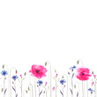 Pink poppies and cornflowers. Seamless ornament.