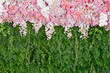 backdrop pink flowers and green leaf arrangement for wedding cer