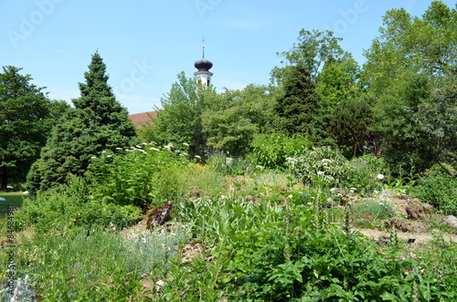 Botanischer Garten In Freiburg Buy This Stock Photo And Explore