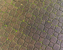 Patterned Pathway Of Paver Stones