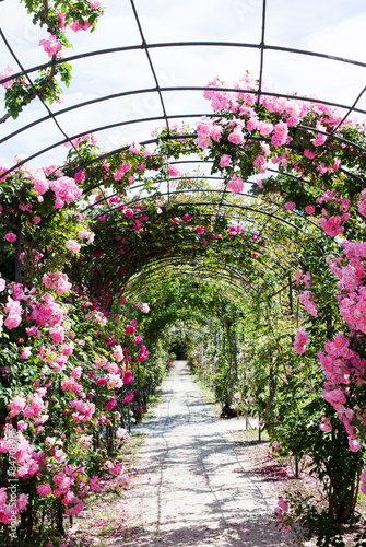 Naklejka na szybę romantic path into a luxuriant rose garden