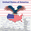 Eagle is a symbol of America