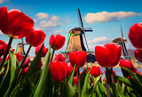 The famous Dutch windmills