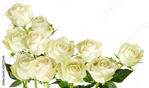 Naklejka dekoracyjna Beautiful horizontal frame with bouquet of white roses isolated on white background